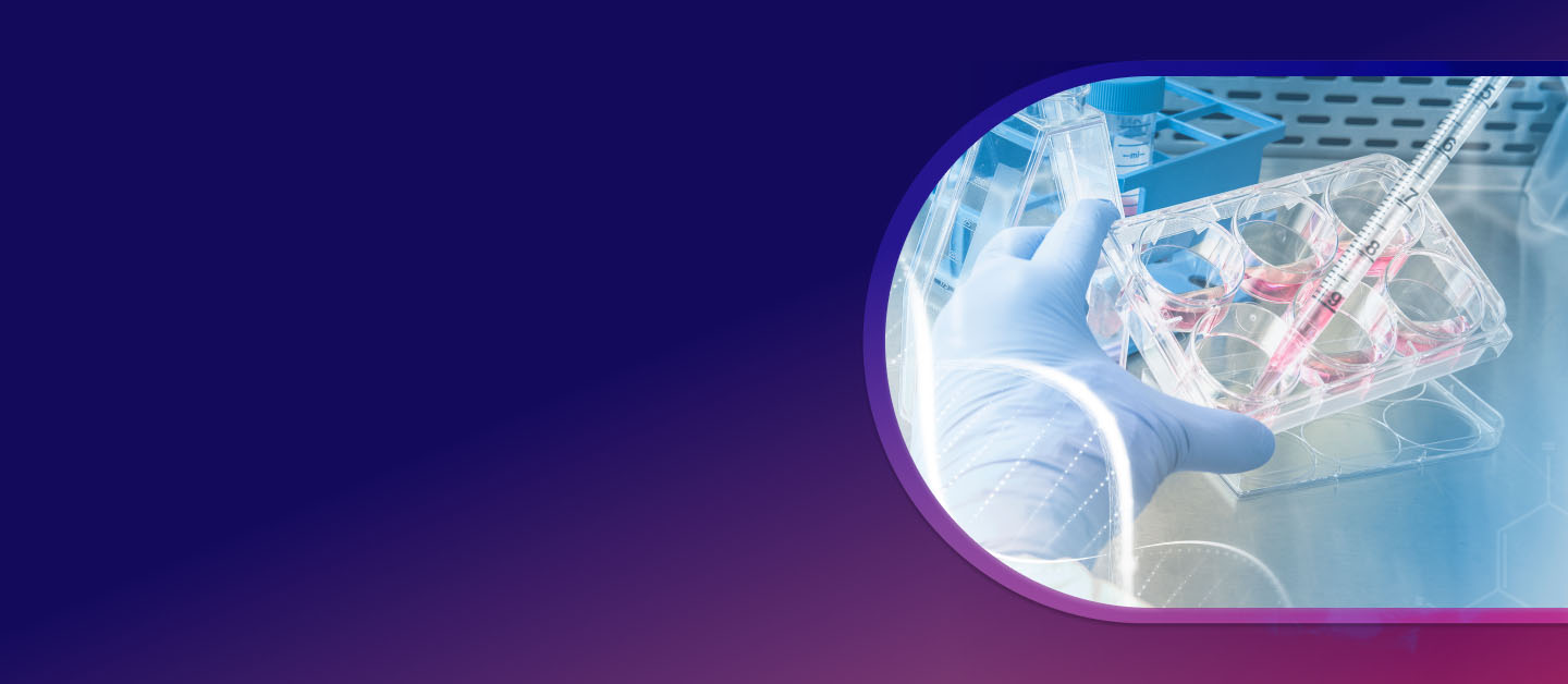 About Us Website Banner